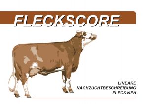 Fleckscore 01 (4)