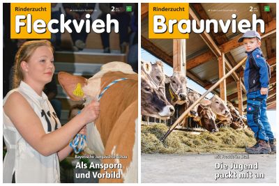 Rinderzucht FLECKVIEH BRAUNVIEH 2/2018