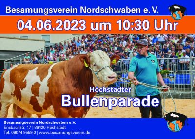 Höchstädter Bullenparade 2023