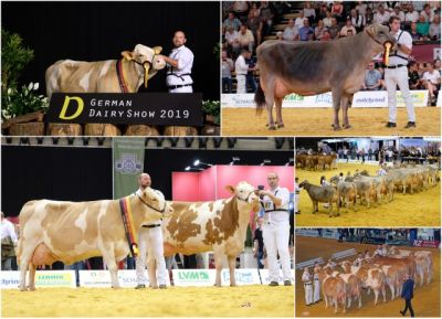 German Dairy Show 2019