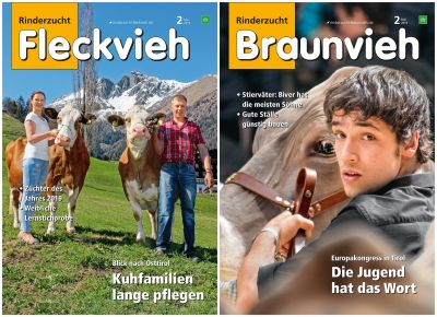 Rinderzucht FV u. BV