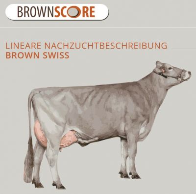 Brownscore