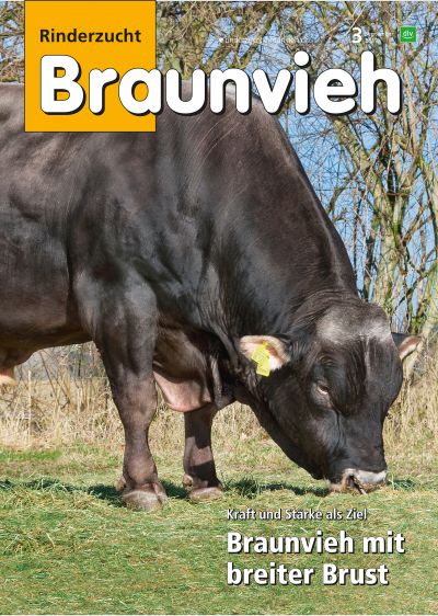 Rinderzucht BRAUNVIEH 3/2017