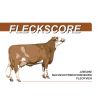 Fleckscore 01 (4)