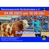 Höchstädter Bullenparade 2023